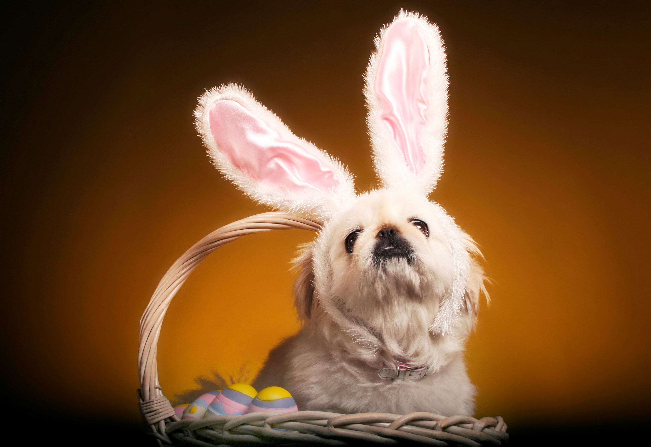 EasterEggHunt-DogParade