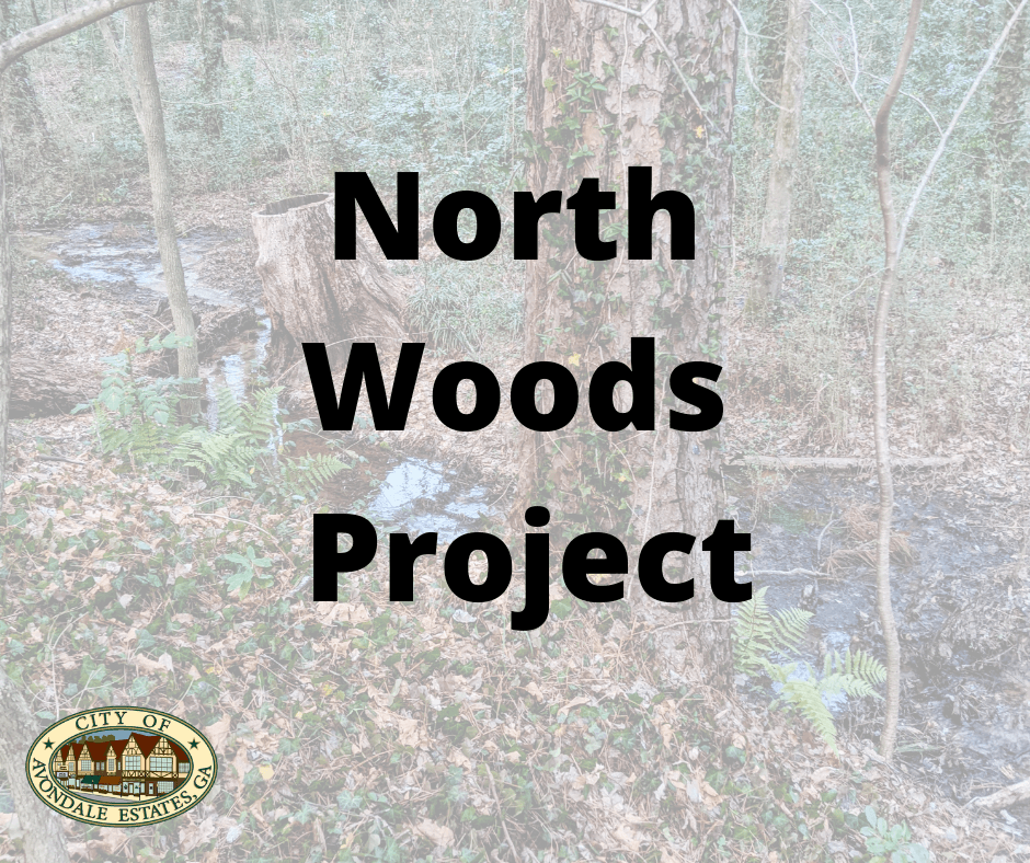 North Woods Project