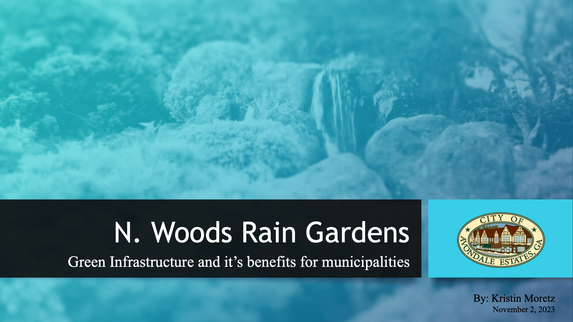 N. Woods Rain Gardens Green Infrastructure and its benefits for municipalities by Kristin Moretz 
