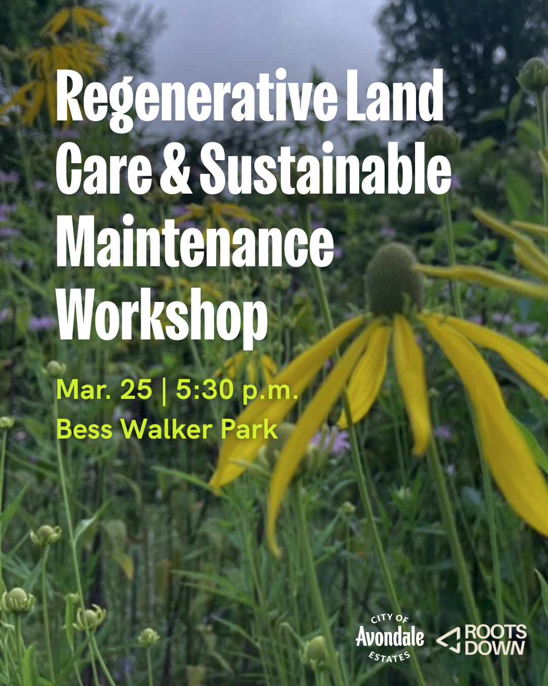 Regenerative Land Care & Sustainable Maintenance Workshop